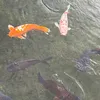 Someone