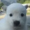 Someone