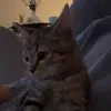 Someone