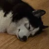 Someone