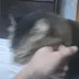 Someone