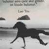 Someone