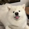 Someone