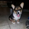 Someone