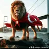 Someone