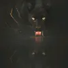 Someone
