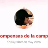 Someone