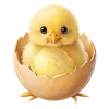 Someone