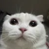 Someone