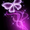 Someone