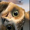 Someone