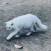 Someone