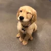 Someone