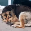 Someone