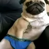 Someone
