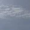 Someone