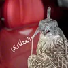 Someone