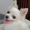 Someone