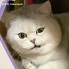 Someone