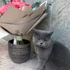Someone