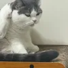 Someone