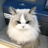 Someone