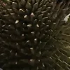Someone