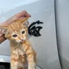 Someone