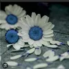 Someone