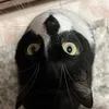 Someone