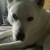 Someone