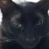 Someone