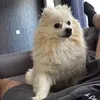 Someone