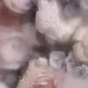 Someone