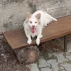 Someone