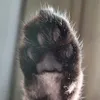 Someone
