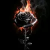 Someone