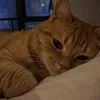Someone