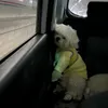 Someone