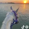 Someone