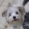 Someone