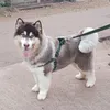 Someone