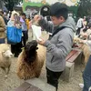 Someone