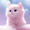 Someone
