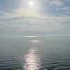 Someone