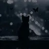 Someone