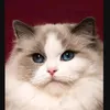 Someone