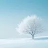 Someone