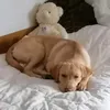 Someone