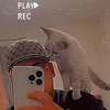 Someone